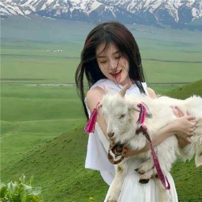 粉红色的梦